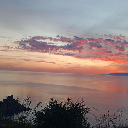 Hotel Villa Principe San Nicola Arcella Eksteriør billede